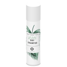 E+46 Dry Shampoo 250 ml