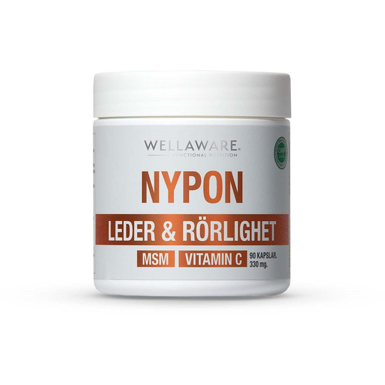 WellAware Nypon+MSM+Vitamin C Kapslar 90 st