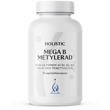 Mega B Metylerad 90 kapselia