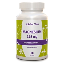 Magnesium 375 mg 90 kapselia