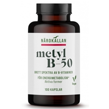Metylfolat 90 kapselia